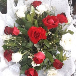 Meet your Posher, Yasmina